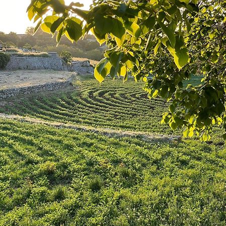 Masseria Trulli&Stelle B&B Noci Buitenkant foto