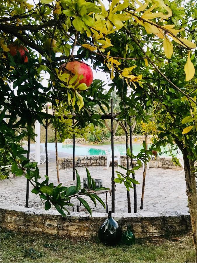 Masseria Trulli&Stelle B&B Noci Buitenkant foto